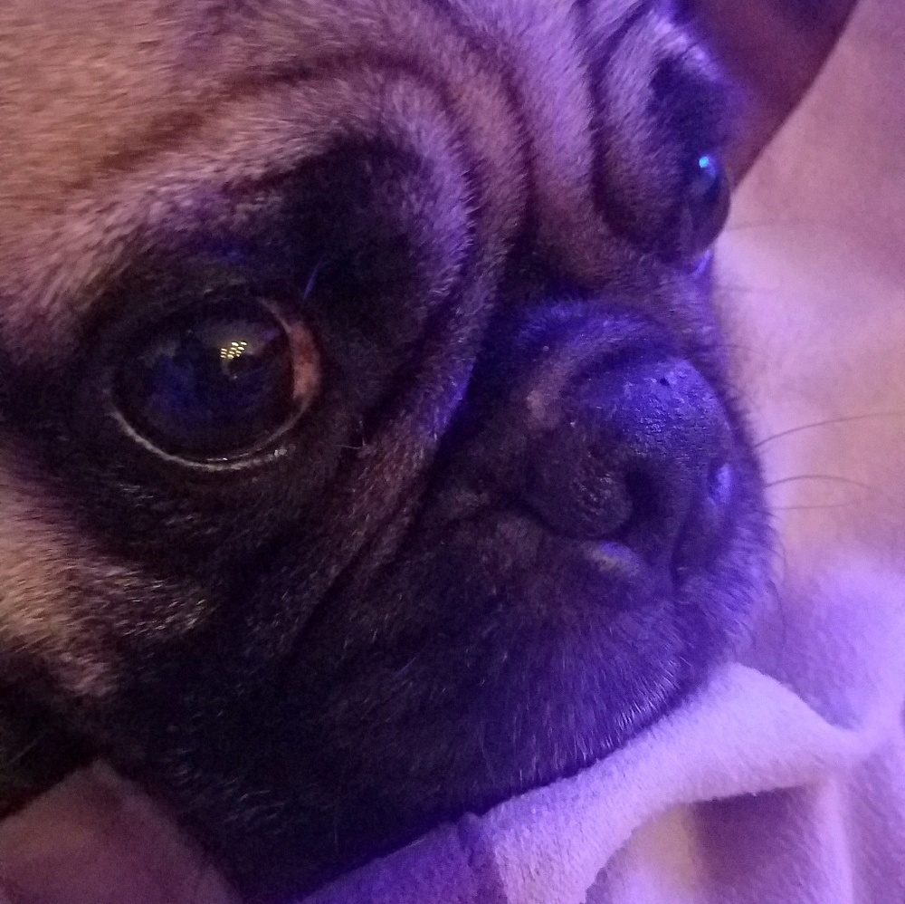 Meet your Posher, Tu